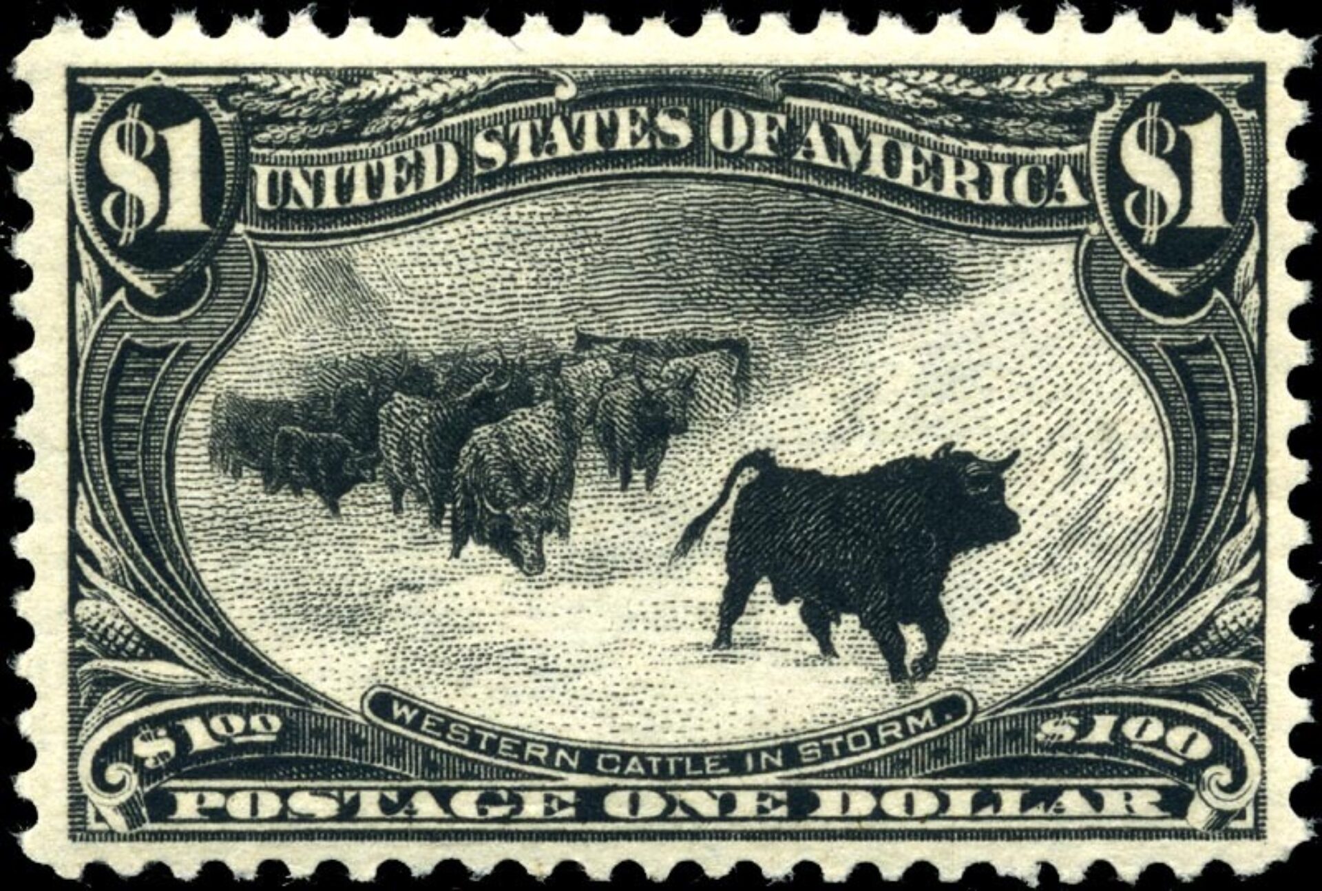 Western Cattle in Storm Stamp