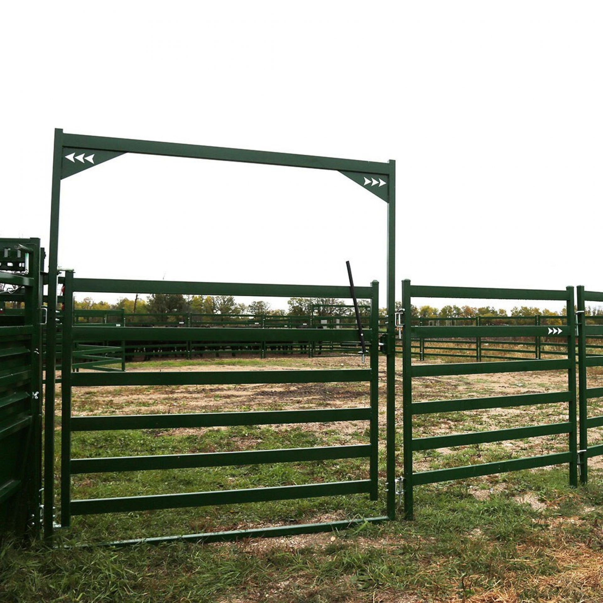Arrow cattle gates main thumbnail