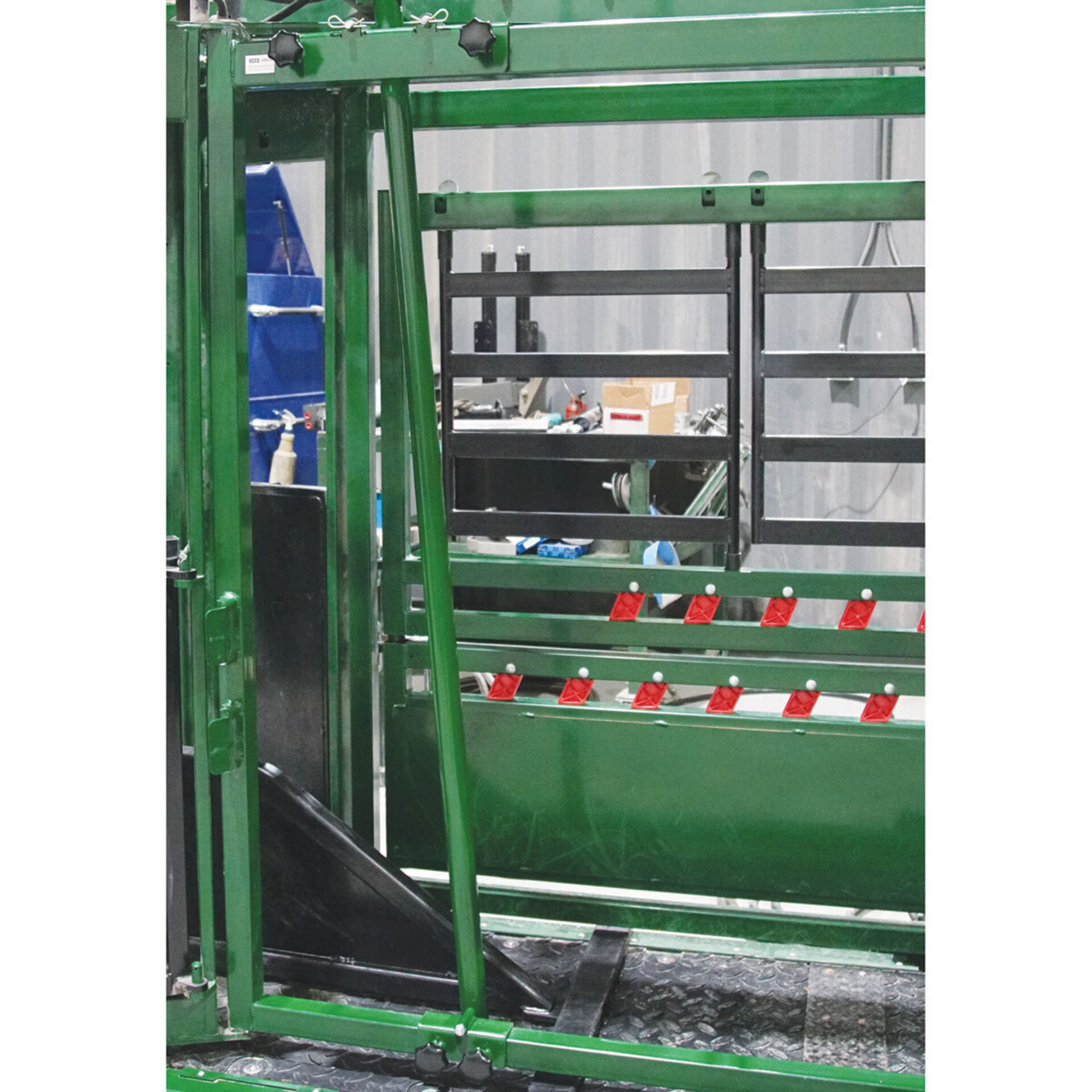 Calf restrainer bar inside a squeeze chute