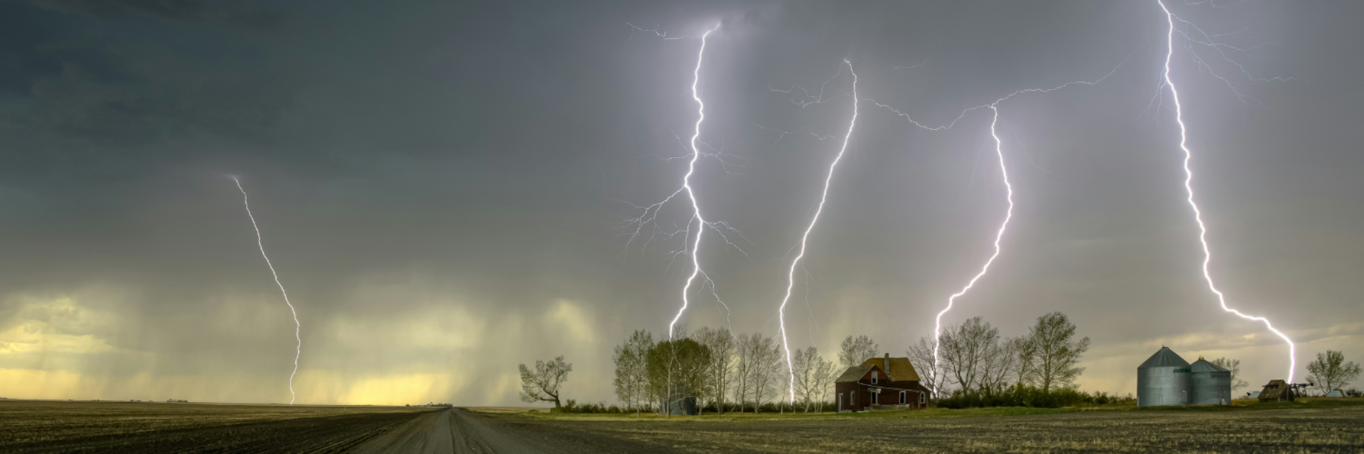 Cattle thunderstorm blog