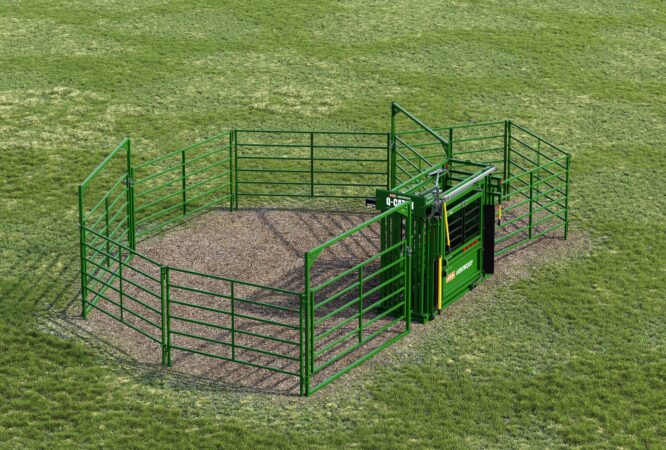 10 Head Base cattle handling system