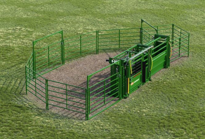 10 Head Deluxe cattle handling system