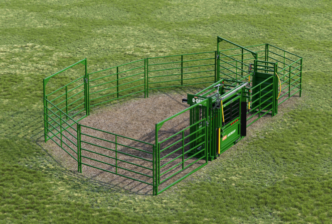 10 Head Essential cattle handling system
