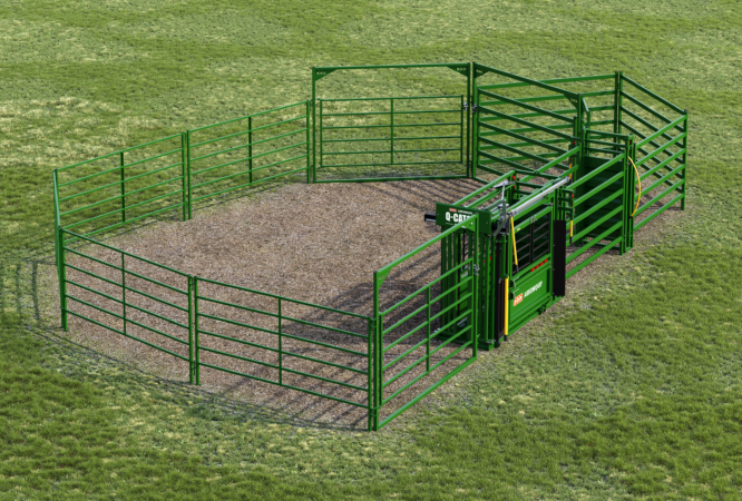 20 Head Essential cattle handling system