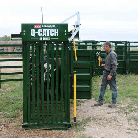 Q-Catch 54 Series chute for cattle head gate
