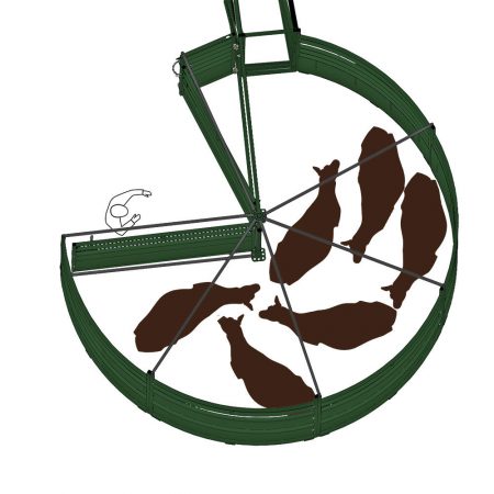 3E BudFlow Step 3: Cattle reach the back of the tub and turn around