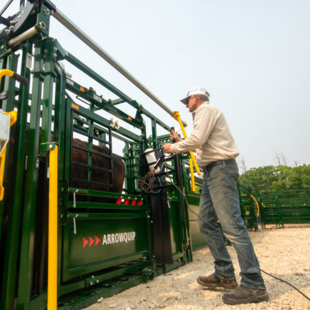 Arrowlock 55 Cattle Chute Branding Access