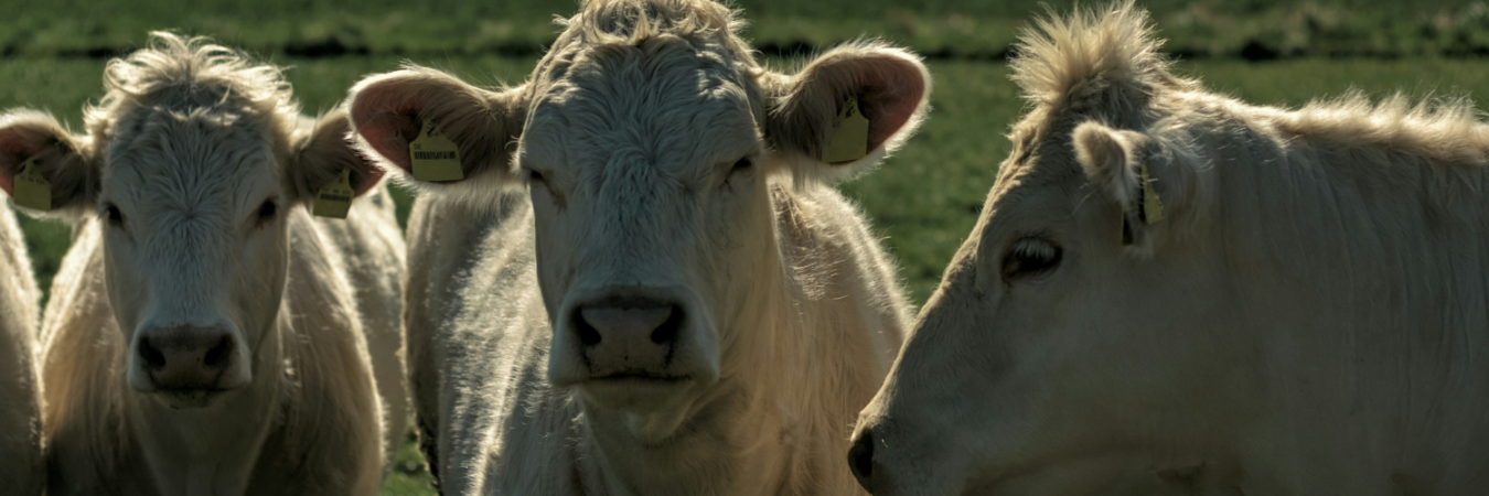 6 things you didnt know 1