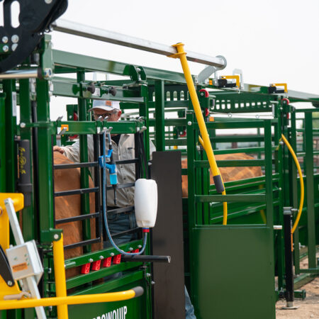Arrowlock 75 Vet Cage Access with cattle