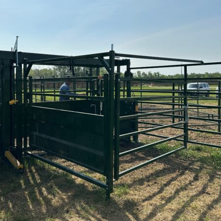 87 C 19 budbox square