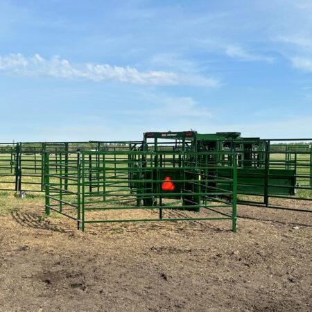 Heeler 87C Manual Portable Corral set up back view