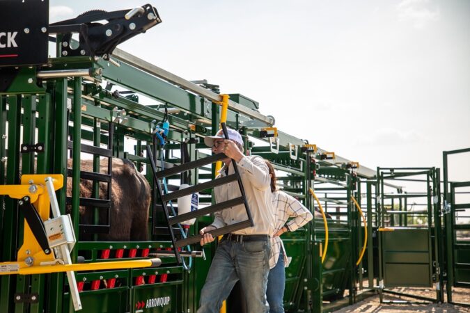 Arrowlock 88 portable cattle chute, alley and tub removable side access