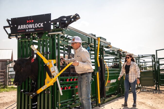 Portable handling system with cattle in head gate