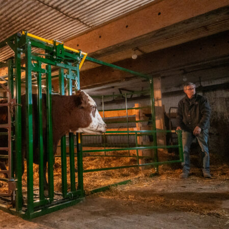 Bottom Access door open on the calving pen
