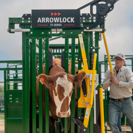 Arrowlock 75 Series Squeeze chute with cattle in head gate