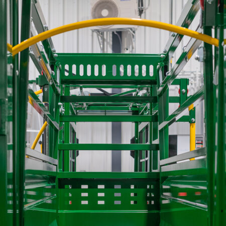 Cattle's View when Entering the Handling System