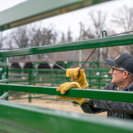 Using the rope on the Easy Flow Elite Alley