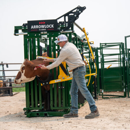 Arrowlock 75 Series Squeeze Chute ear tagging