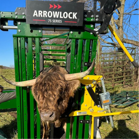 Head Holder with highland cow and arrowlock 75 chute