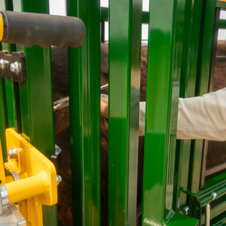 Cattle chute needle access