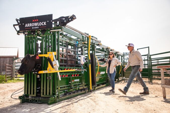 Arrowlock 88 Head Gate Hold with Cattle