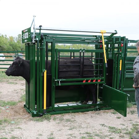 Q-Catch 54 Series chute for cattle with bottom access gates open.