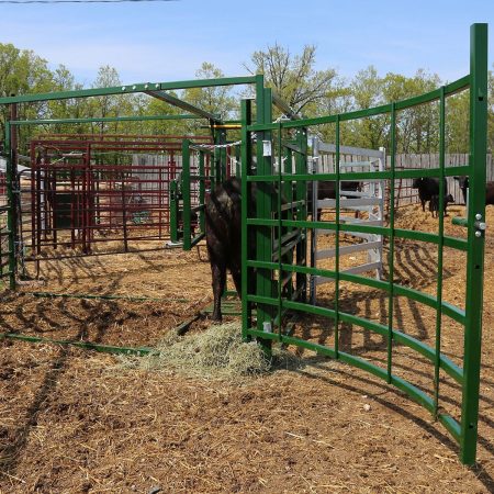 Cattle maternity pen back access gate