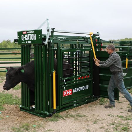 Q-Catch 54 Series chute for cattle head gate in use.