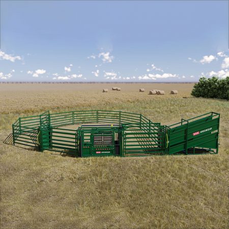 Overhead view of small cattle corral system design idea