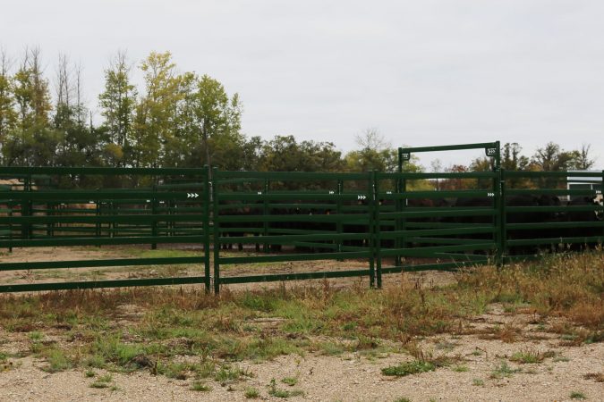 Cattle working system with heavy-duty high-pressure corral panels