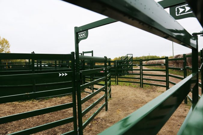 View through high-pressure Arrow Cattle Panel rails into open bow alley