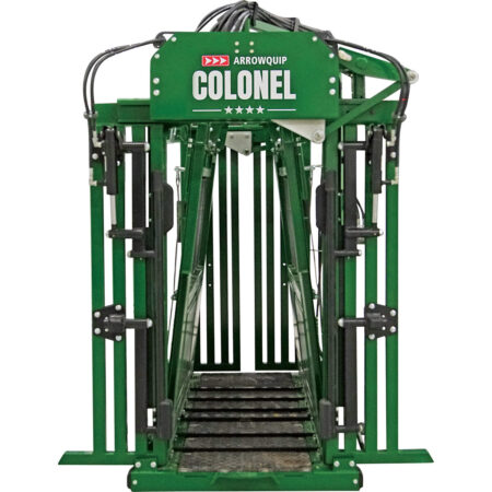 A-Squeeze on the Colonel feedlot chute