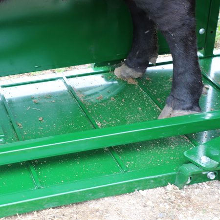 Q-Catch 54 Series chute for cattle floor image with cattle's hooves.