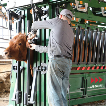 Ear Tagging Cattle with The General Hydraulic Chute