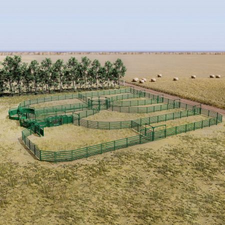 Overhead view of large cattle corral system design idea