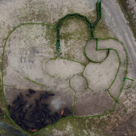 Arial image of a cattle corral system