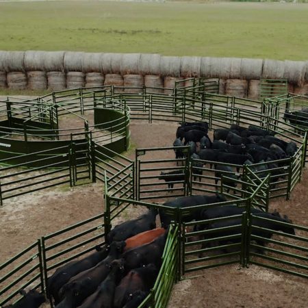 Overhead view of cattle corral system with drafting pound and heavy-duty panels and gates
