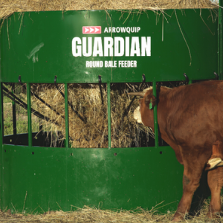 Hay bale feeder with brown cow eating hay from suspended bale