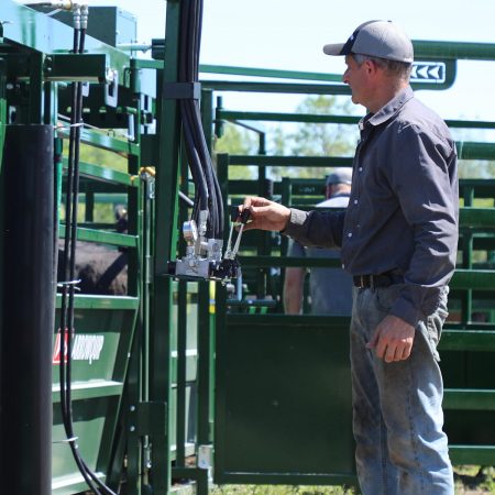 Rancher operating the cattle squeeze chute and head sweep on Q-Power 107 Series hydraulic squeeze chute