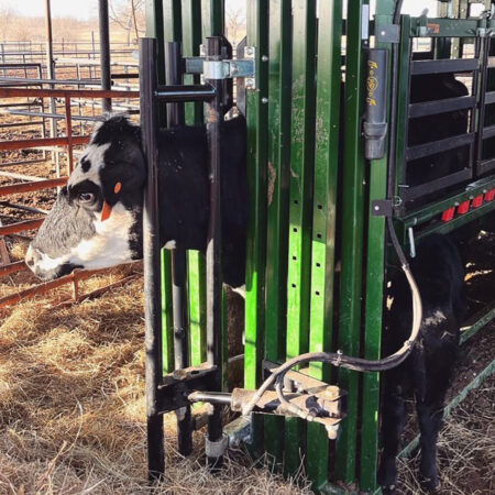Head sweep with cow on Q-Power 104 Series chute