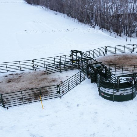Heeler portable corral with working system