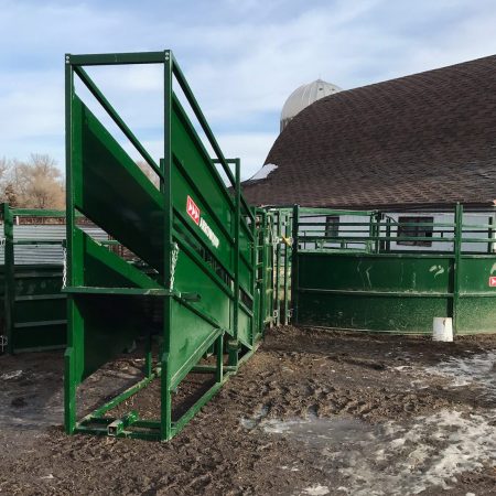 Cattle loading ramp with rest of system on farm