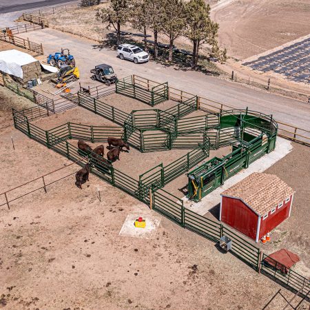 Top view of Arrowquip cattle corral system with cattle in the corrals