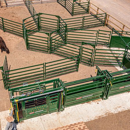 Overhead view of cattle chute and corral system with draft pound