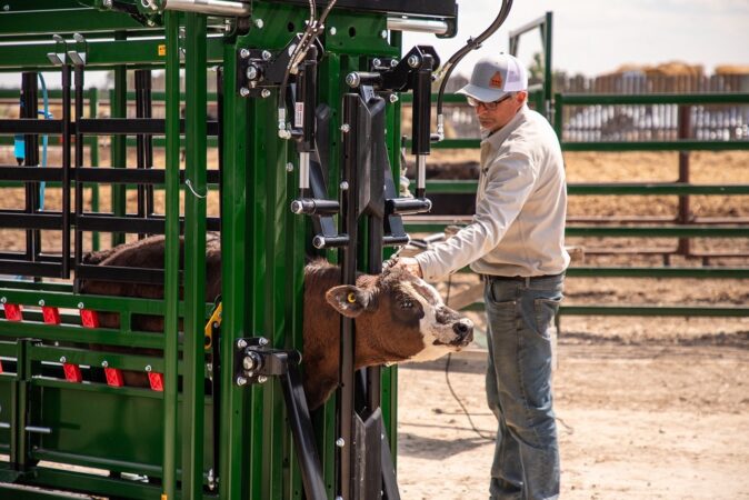 Powerlock 108 with Calf using Neck Extenders