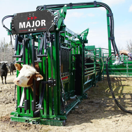 Rancher catches cow in major hydraulic chute