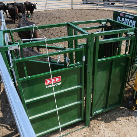Top view of cattle drafting gates