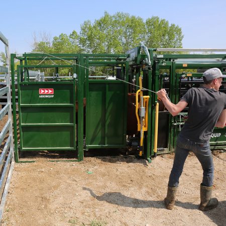 Young rancher using post-chute cattle drafting gates