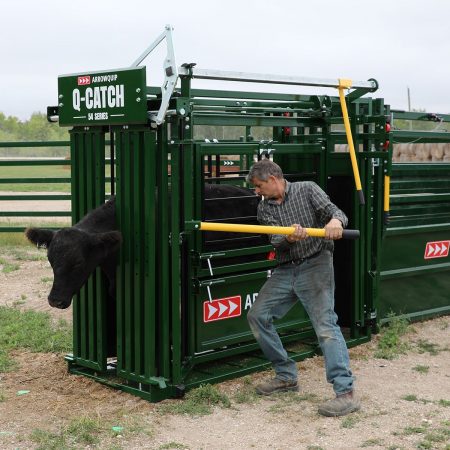 Q-Catch 54 Series chute for cattle squeeze in use.