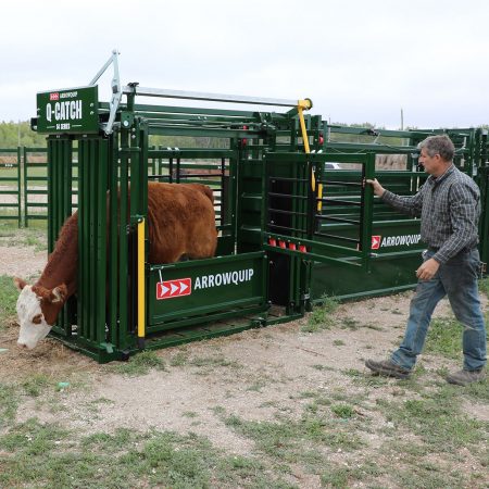 Q-Catch 54 Series chute for cattle top access.